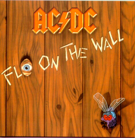 Fly On The Wall Disc Cover